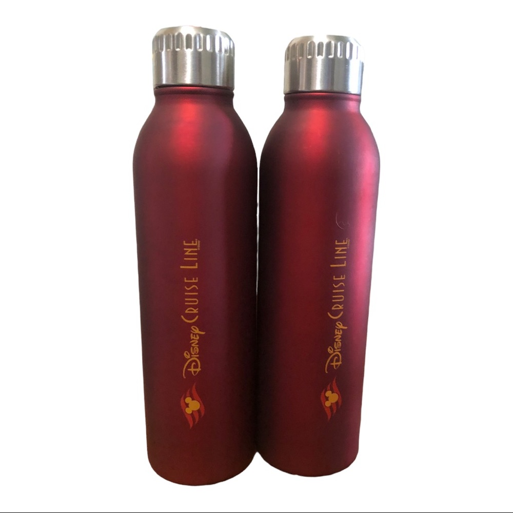 Set of 2 Disney Cruise Line Aluminum Water Bottles